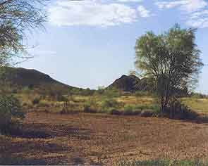 Photo October, 1998 after acquisition of land showing natural restoration of vegetation