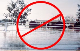 Image of flooded house and yard.