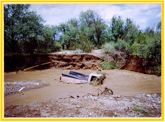 Photo of vehicle stuck in the Franco Wash during a flood.
