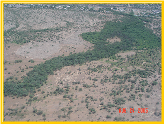 Aerial photograph of a wash corridor and riparian habitat.