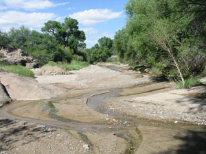 Davidson Canyon is an important wildlife corridor and water source for wildlife.  It joins Cienega Creek within the County Preserve.  Pima Association of Governments (PAG) monitors the base flows.  Photograph by PAG.